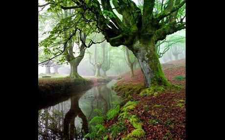 Divers - De toute beauté - 2