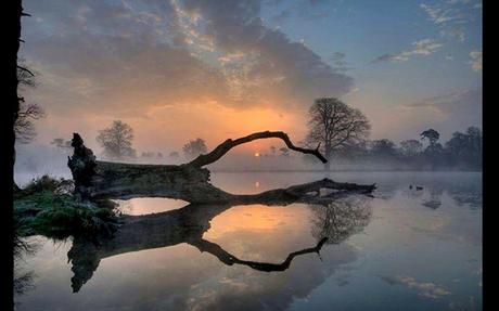 Divers - De toute beauté - 2