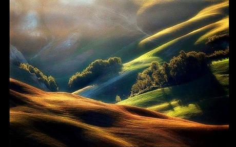 Divers - De toute beauté - 2