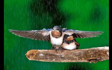 Divers - De toute beauté - 2