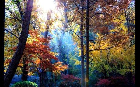 Divers - De toute beauté - 2