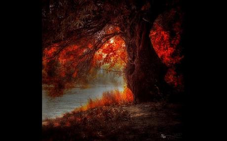 Divers - De toute beauté - 2