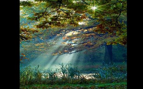 Divers - De toute beauté - 2