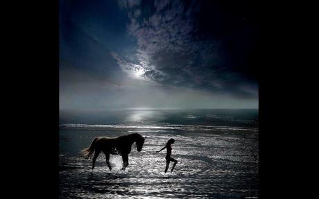 Divers - De toute beauté - 2