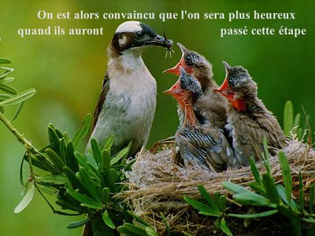 Divers - Poème du Bonheur