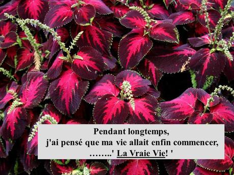 Divers - Poème du Bonheur