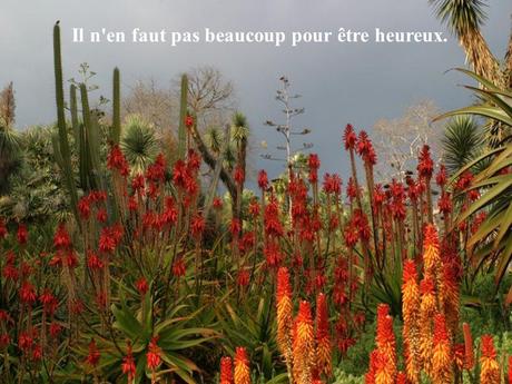 Divers - Poème du Bonheur