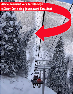 Park City se moque de sa foret