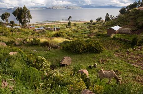 A la rencontre des habitants du lac Titicaca