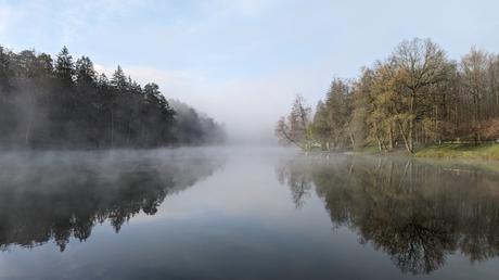 Étang de Hasselfurth x 4