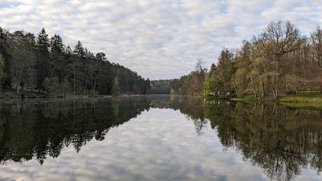 Étang de Hasselfurth x 4