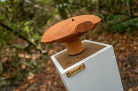 Jean-Marc Bullet, Presqu’une île