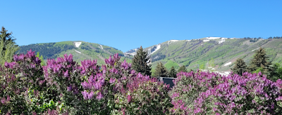 Signes qui en disent long !