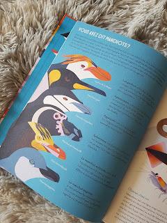 Manchots de Owen Davey ❤ Manchots de Owen Davey ❤