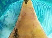 Critique cinéma- L'île Robinson Crusoé revisité avec folie inventivité