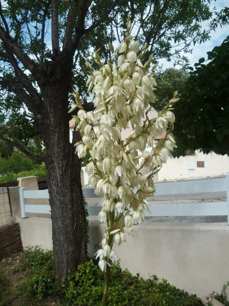 jardin,jardinage,fleurs,plantes,compost,composteur,compostage