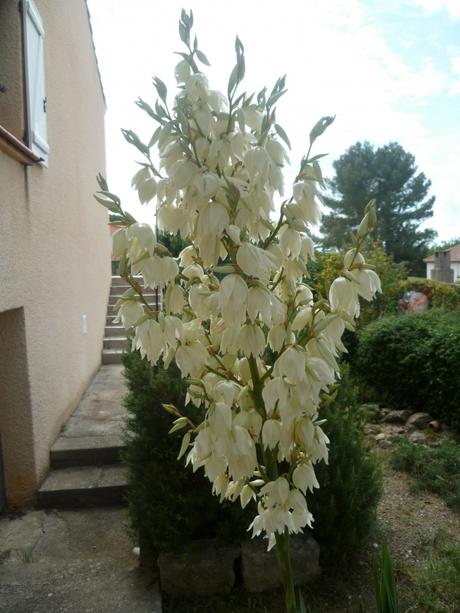 jardin,jardinage,fleurs,plantes,compost,composteur,compostage