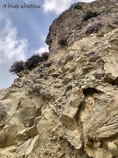 Les paysages et la flore crétoise Les paysages et la flore crétoise