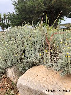 Les paysages et la flore crétoise