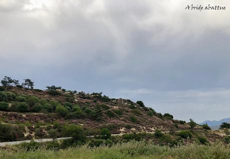 Les paysages et la flore crétoise
