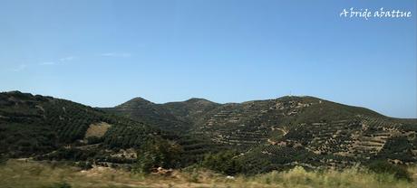 Les paysages et la flore crétoise Les paysages et la flore crétoise