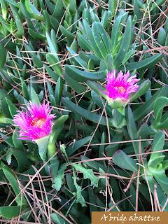 Les paysages et la flore crétoise