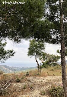 Les paysages et la flore crétoise