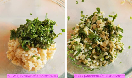 Nems de salade pleins de surprises (Vegan)