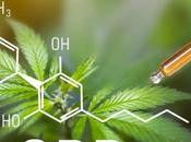 qu’il faut comprendre effets