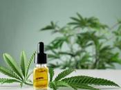 Conseils pour obtenir effet rapide avec l’huile