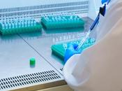 RISQUE PANDÉMIQUE Laissez chauves-souris tranquilles