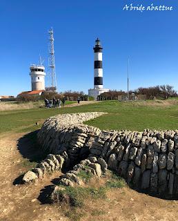 Balades à vélo sur l’île d’Oléron