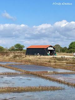 Balades à vélo sur l’île d’Oléron