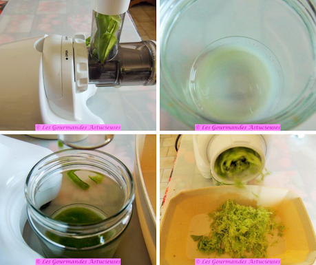 Soupe froide bourrache-guimauve, jus de cosses de petits pois et légumes de printemps (Vegan) Soupe froide bourrache-guimauve, jus de cosses de petits pois et légumes de printemps (Vegan)