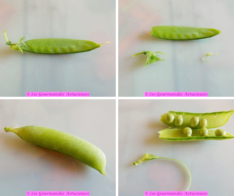 Soupe froide bourrache-guimauve, jus de cosses de petits pois et légumes de printemps (Vegan) Soupe froide bourrache-guimauve, jus de cosses de petits pois et légumes de printemps (Vegan)