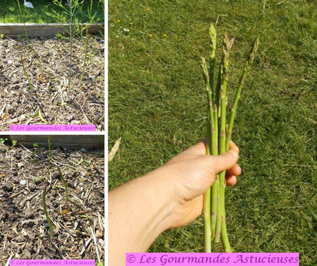 Soupe froide bourrache-guimauve, jus de cosses de petits pois et légumes de printemps (Vegan) Soupe froide bourrache-guimauve, jus de cosses de petits pois et légumes de printemps (Vegan)