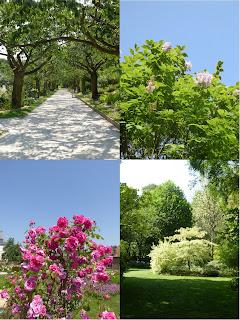 Une semaine en baie de Somme