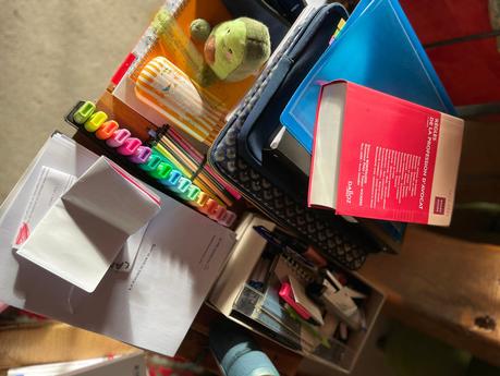 Dans la brume, ne manquaient plus que les gorilles IMG_1801