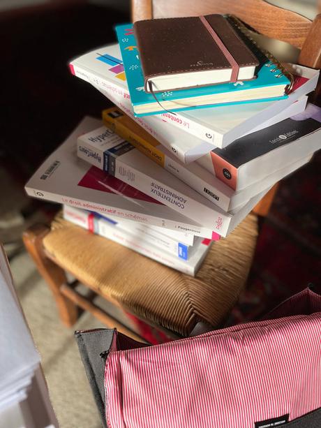 Dans la brume, ne manquaient plus que les gorilles IMG_1802