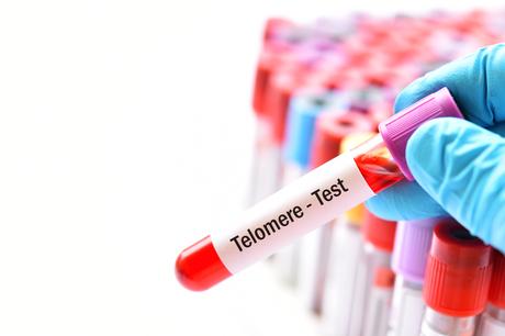 Les télomères contiennent suffisamment d'informations génétiques pour produire 2 petites protéines aux propriétés biologiques puissantes (Visuel Adobe Stock 287074169) Les télomères contiennent suffisamment d'informations génétiques pour produire 2 petites protéines aux propriétés biologiques puissantes (Visuel Adobe Stock 287074169)