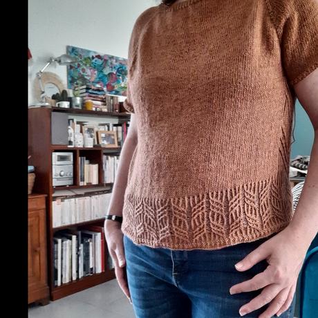 Tolosa ~ Audrey Borego Designs (Yarnflakes) et laine de Maison Corlene