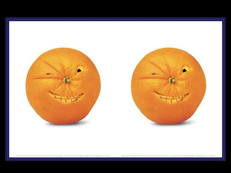 Divers - Quelques plats originaux - 2