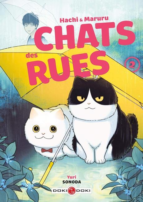 Hachi et Maruru – Chats des rues T02 de Yuri Sonoda Hachi et Maruru – Chats des rues T02 de Yuri Sonoda