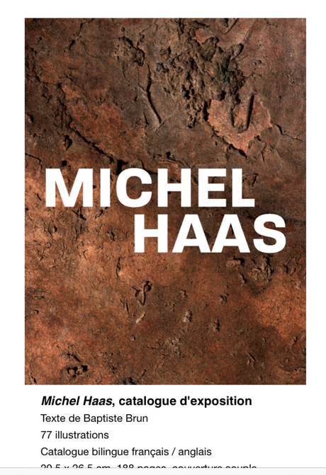 Galerie  Dina Verny – «  » Michel HAAS » » jusqu’au 24 Juin 2023.