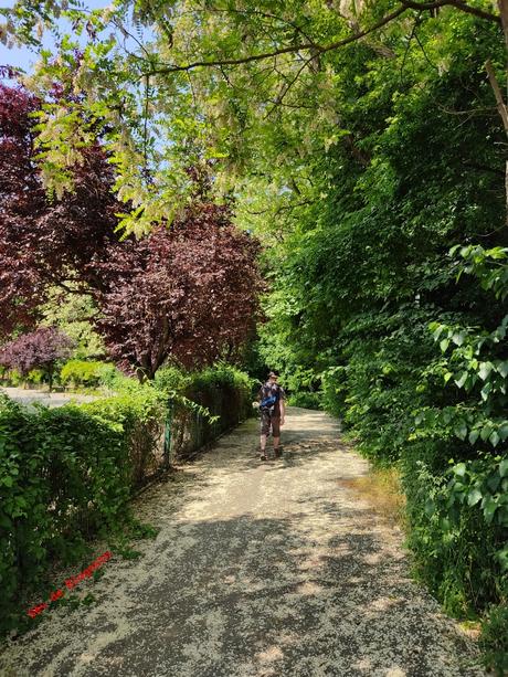 Projet 52-2023 #24 – Derrière chez Moi Projet 52-2023 #24 – Derrière chez Moi