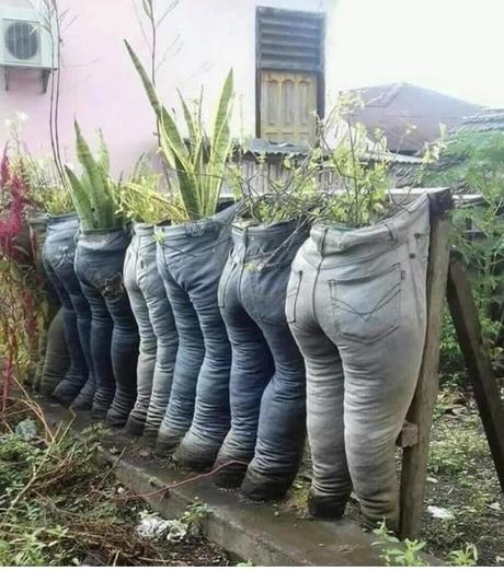 Divers - composition pour les jardins