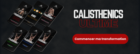 calisthenics programme