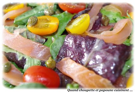 salade légère jeunes pousses, saumon fumé-2673