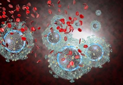 VIH : Des réservoirs en latence dans le cerveau ?