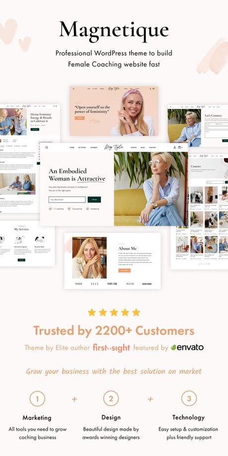 Image de présentation du thème WordPress magnétique